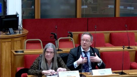 Barking and Dagenham Council's cabinet member for health Maureen Worby (left) and director of health Matthew Cole (right) address the meeting (LDRS image)