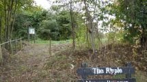 Ripple Nature Reserve in Barking Riverside