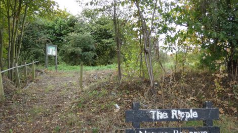 Ripple Nature Reserve in Barking Riverside